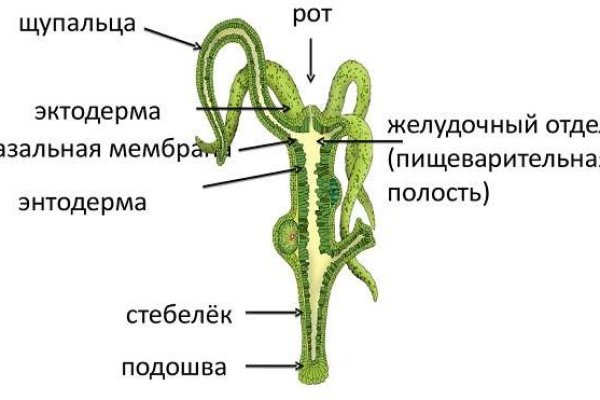 Оригинальный сайт кракен