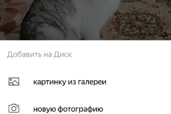 Кракена точка нет