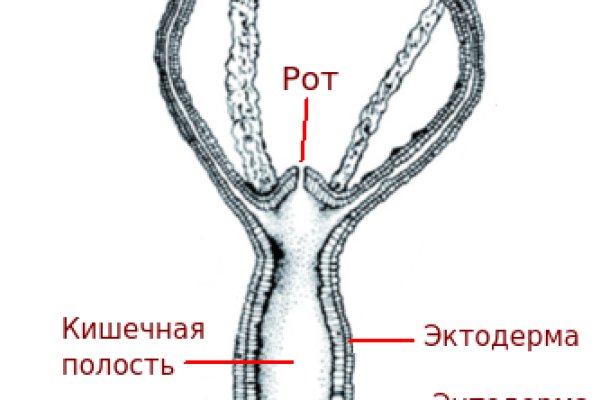 Кракен официальная kr2web in