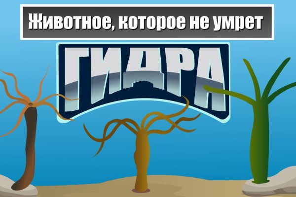 Kra47.at