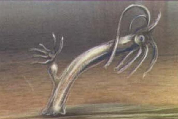 Кракен переходник ссылка