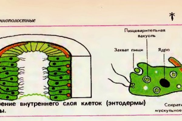 Кракен тор