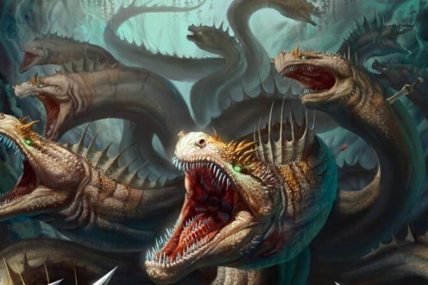 Kraken forum