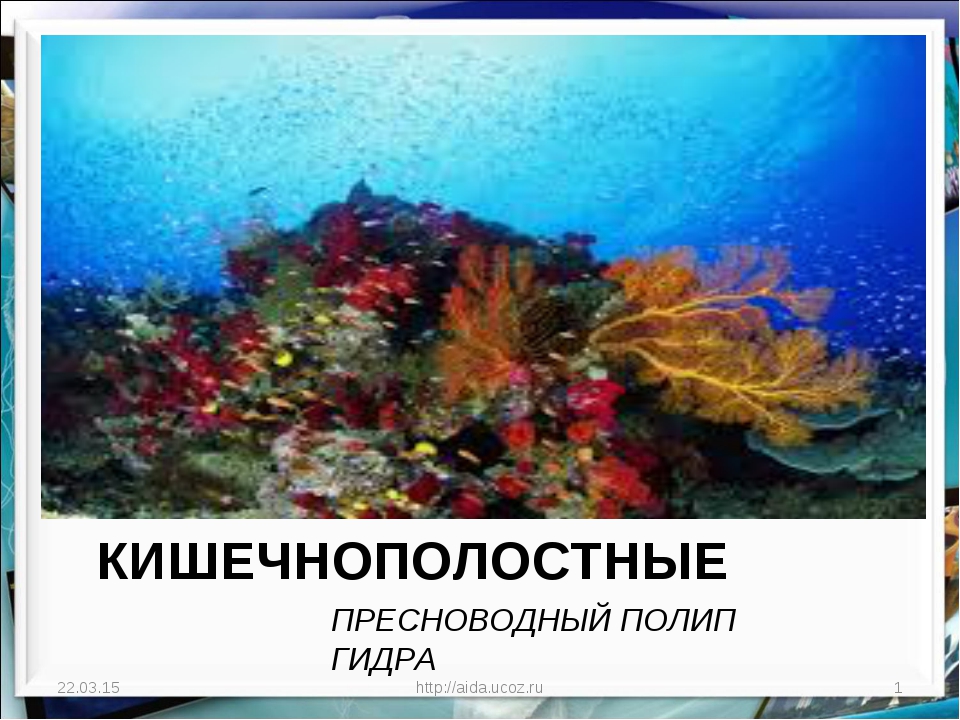 Кракен сайт вход kraken torion