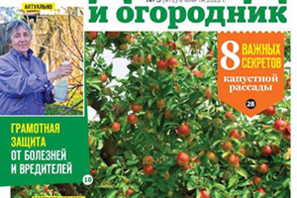 Сайт кракен тор