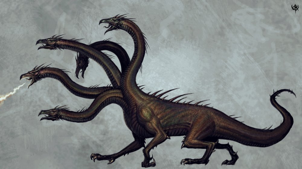 Kraken 19at
