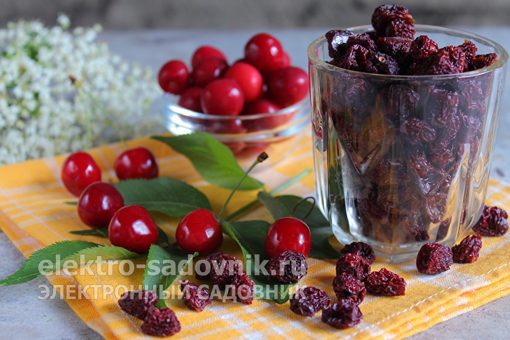 Кракен ссылка 2web krakendark link
